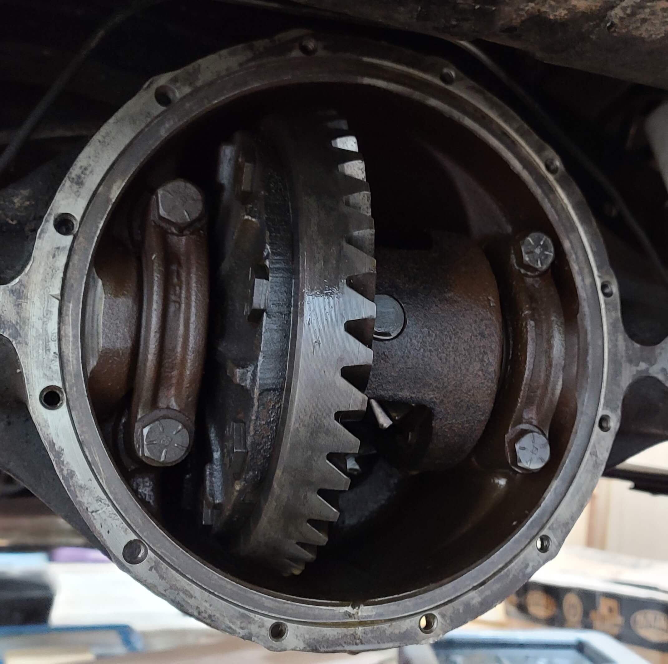 Rear Differential