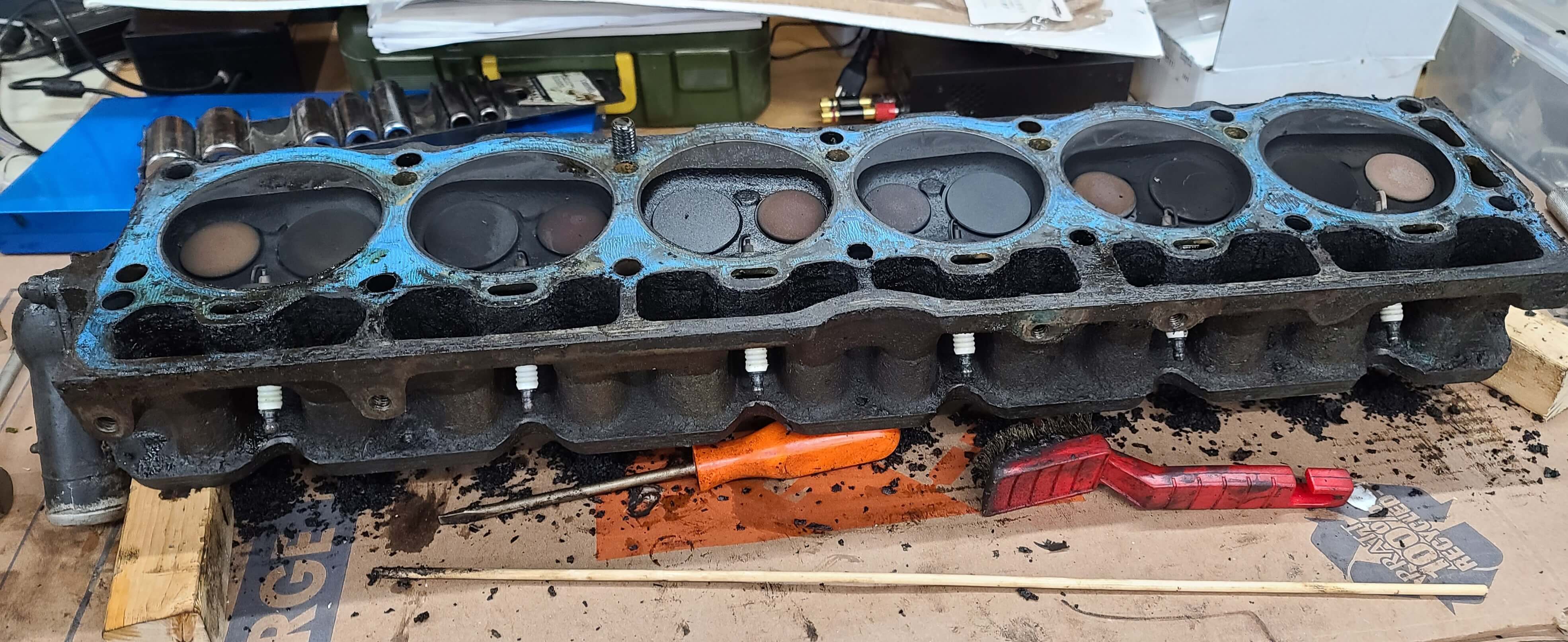 Head on Bench